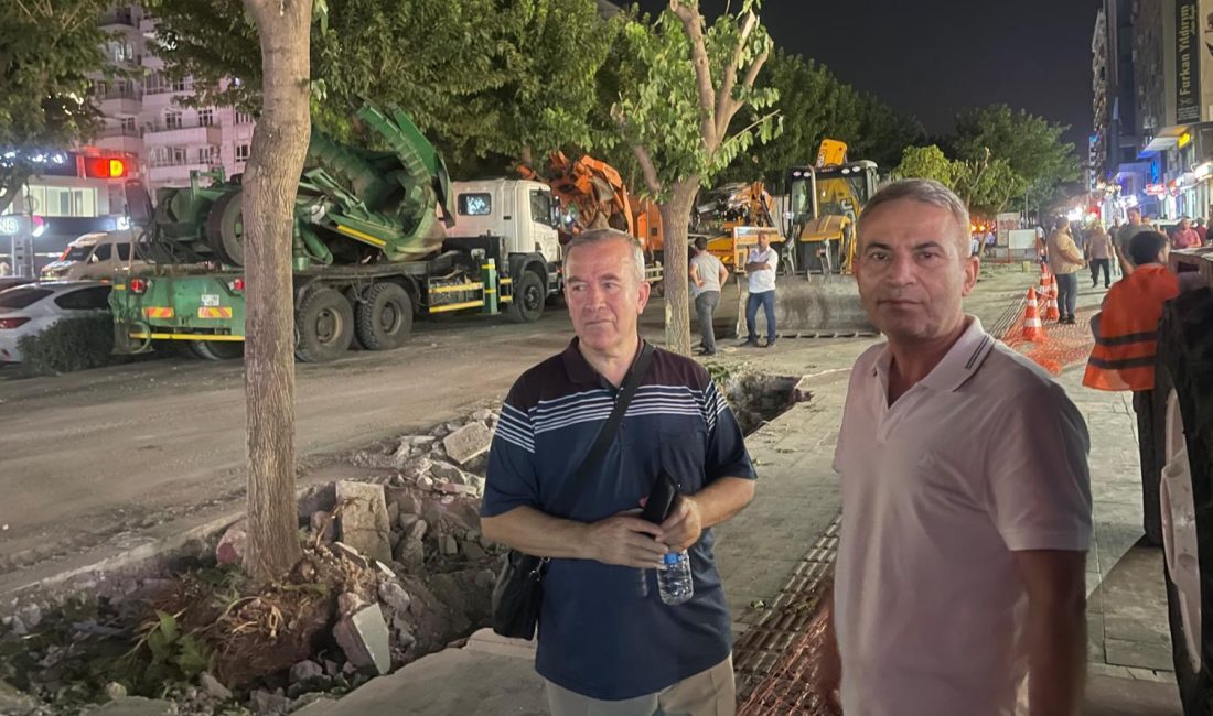 Batman Çevre Gönüllüleri Derneği, Turgut Özal Bulvarı (Diyarbakır Caddesi) için