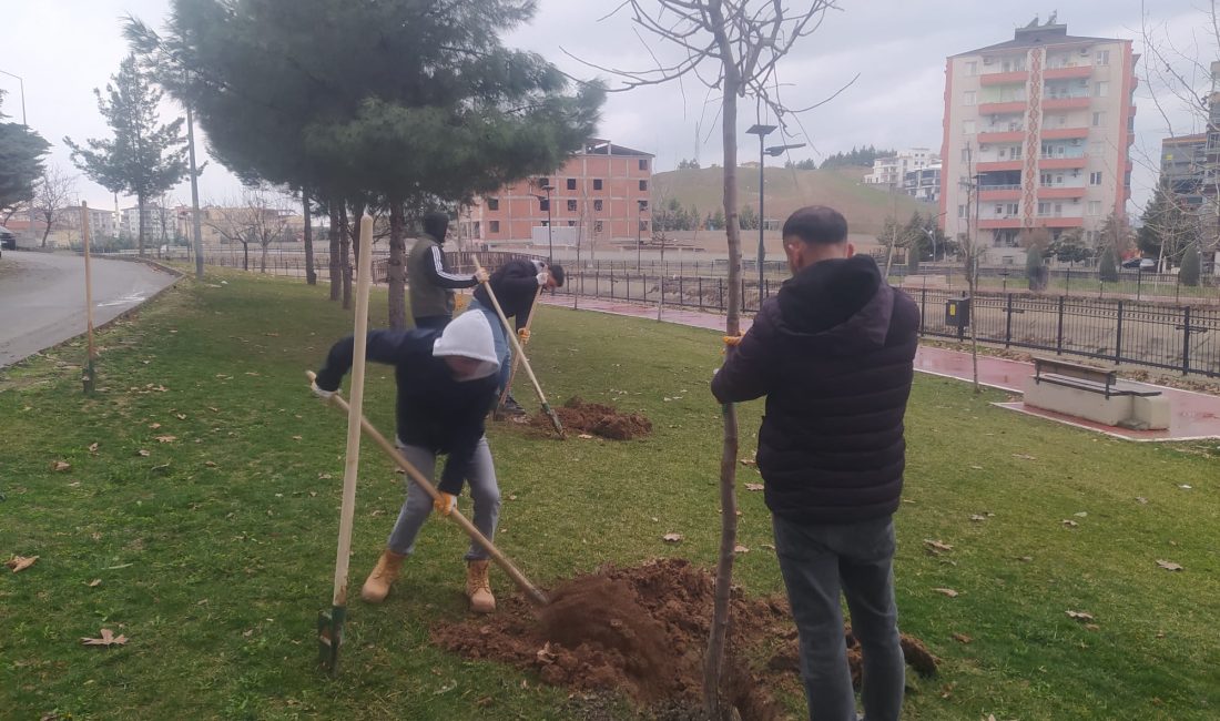 Batman Belediyesi tarafından yapılan