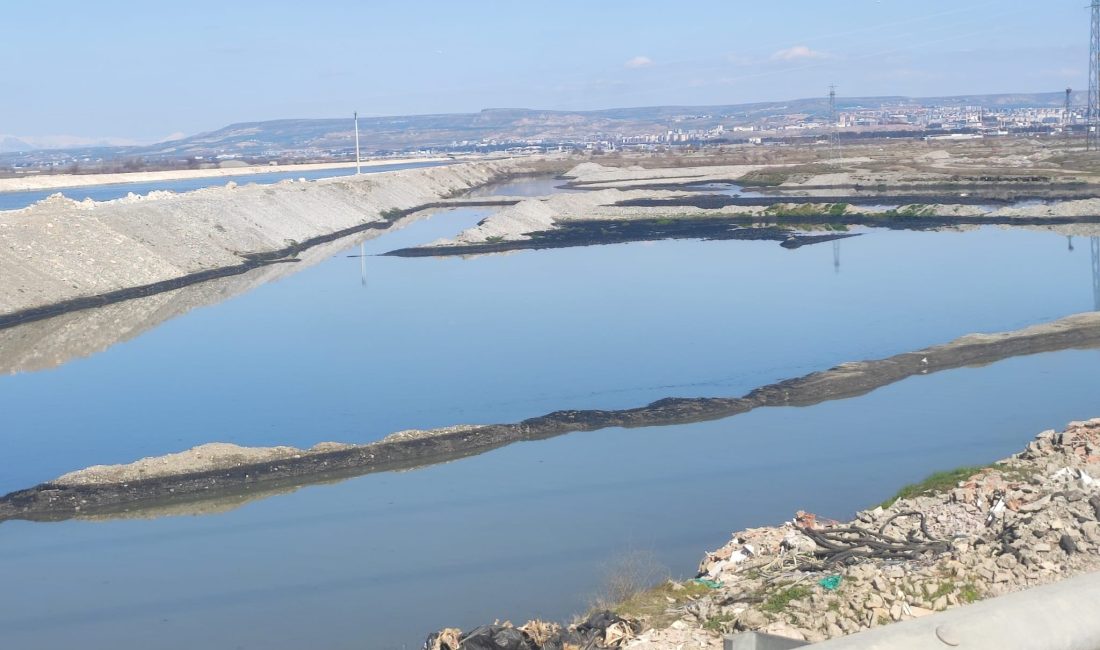 Batman Çevre Gönüllüleri Derneği ve Batman Çevre Platformu, Batman Çayı’nda