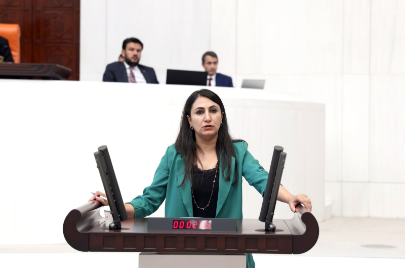 Halkların Eşitlik ve Demokrasi Partisi (DEM) Parti Batman Milletvekili Zeynep